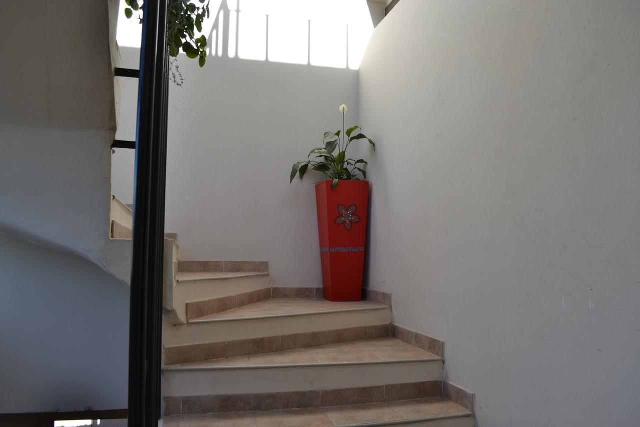 Guest House Jujuy San Salvador de Jujuy Dış mekan fotoğraf